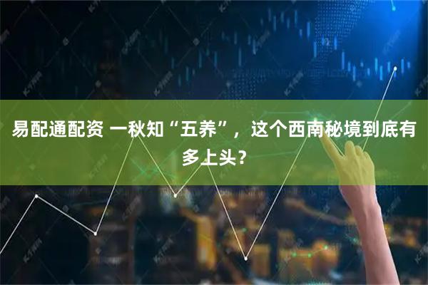 易配通配资 一秋知“五养”，这个西南秘境到底有多上头？