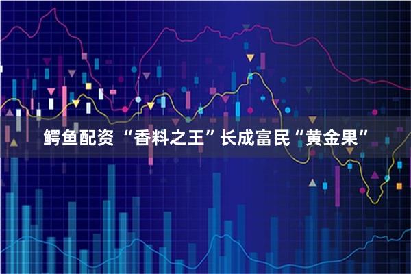 鳄鱼配资 “香料之王”长成富民“黄金果”